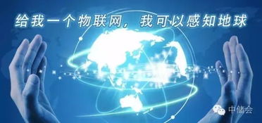 物联网动产质押融资与供应链金融风险管理 网络开发的前沿探索